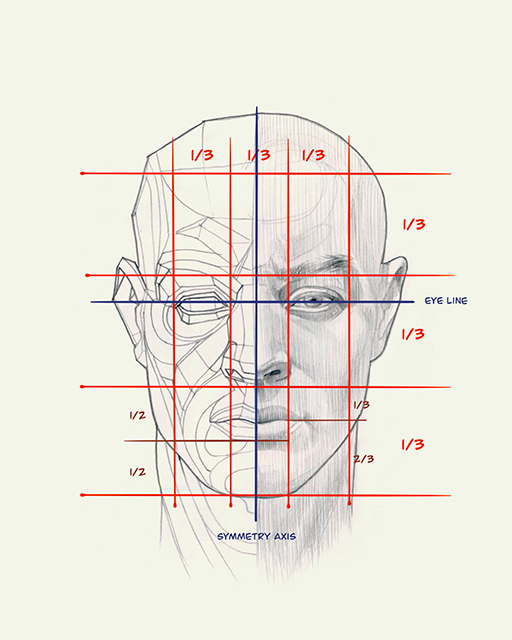 Mastering Facial Proportions: A Comprehensive Guide to Drawing Realistic Faces