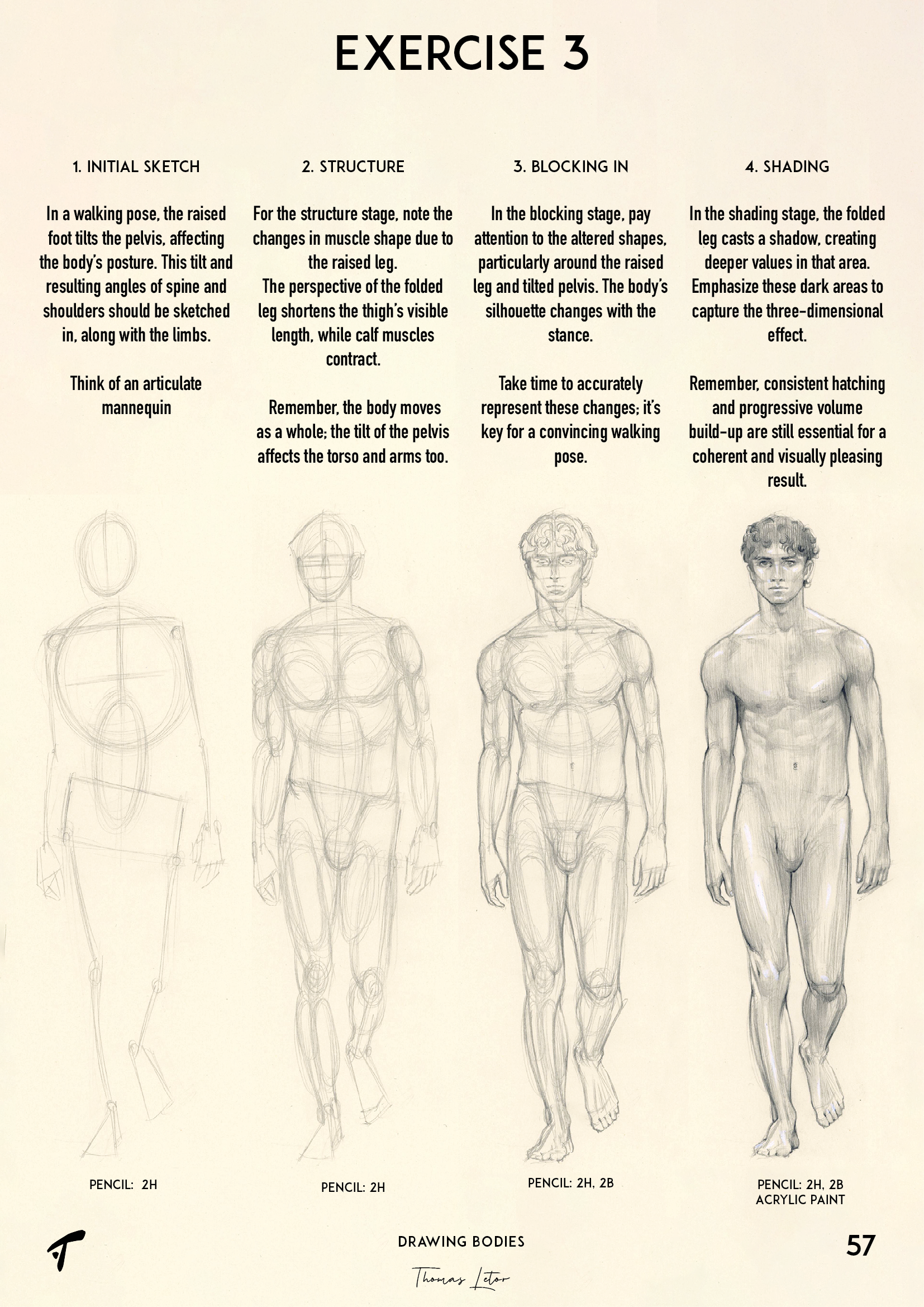 Figures 26-50 | Life drawing reference, Human body drawing, Movement drawing
