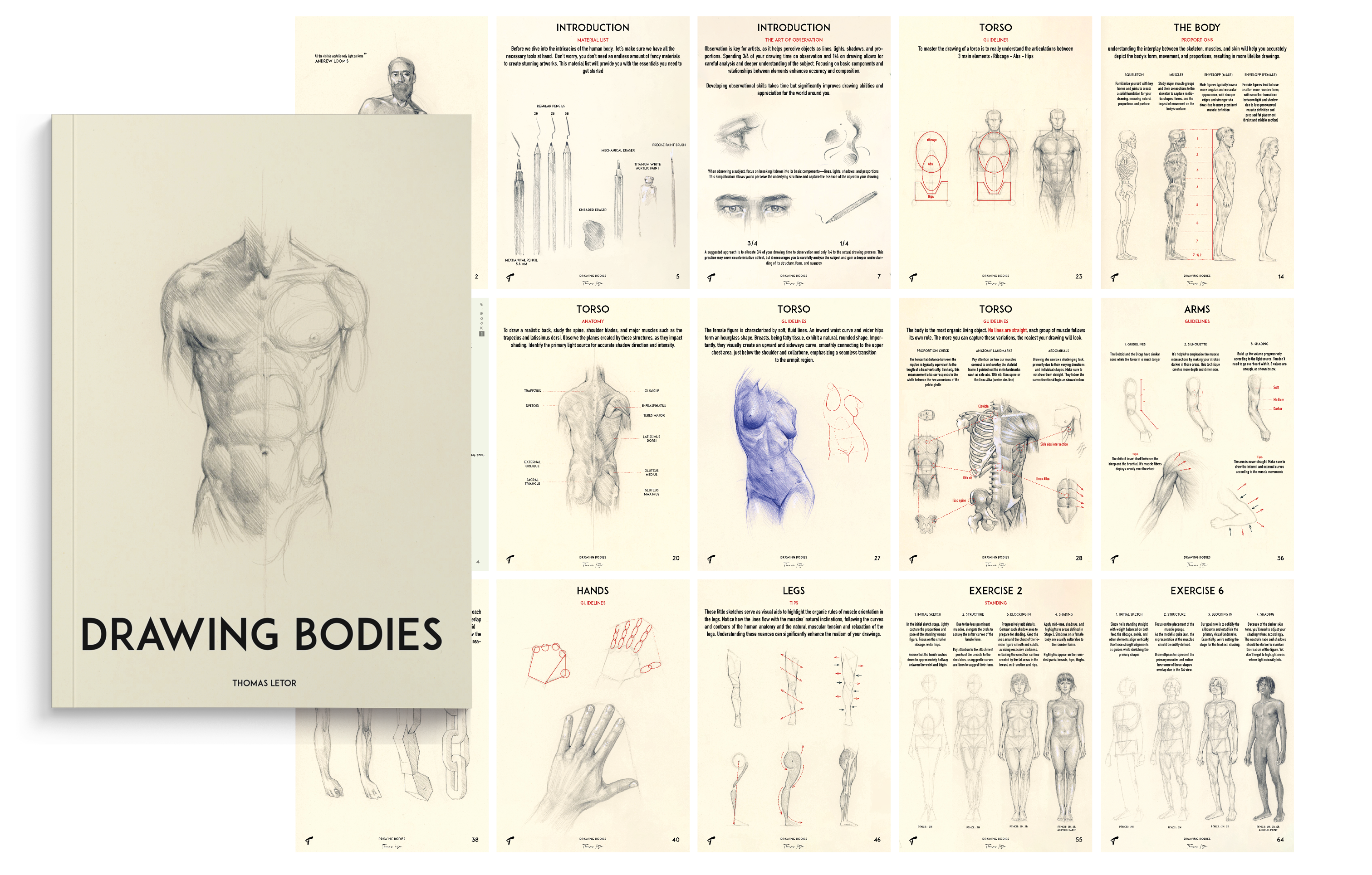 A 70-page guide packed with easy techniques to help you draw the human body. Learn to capture the curves, shadows, and proportions that make every figure unique, all in a relaxed and approachable way. Perfect for artists at any level